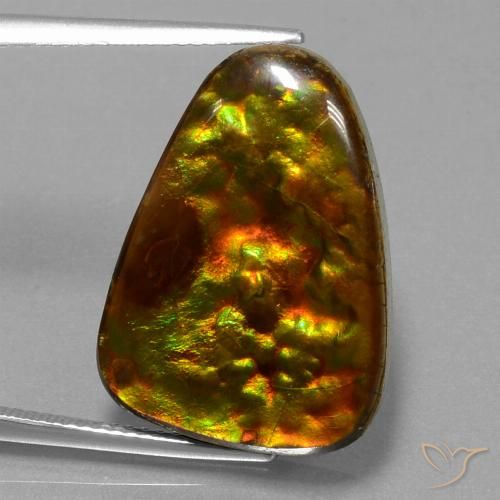 15.67ct Natural Multicolorido amolita, Trilhão, Opaco