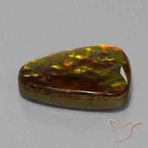 amolita Multicolorido Natural 15.67ct, Trilhão, Opaco