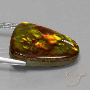 amolita Multicolorido Natural 15.67ct, Trilhão, Opaco