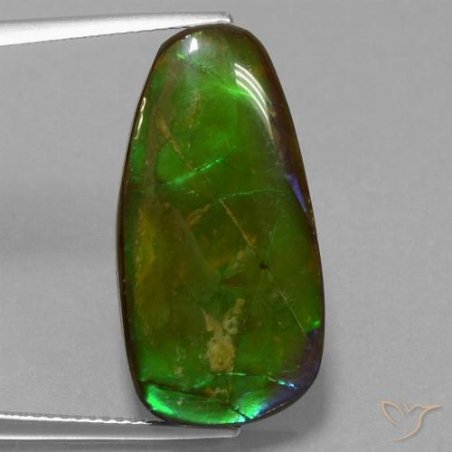 13.82ct Natural Multicolorido amolita, Chique, Opaco