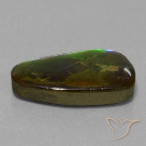 amolita Multicolorido Natural 13.82ct, Chique, Opaco
