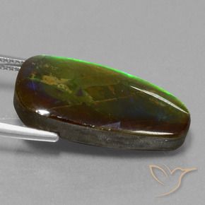 amolita Multicolorido Natural 13.82ct, Chique, Opaco