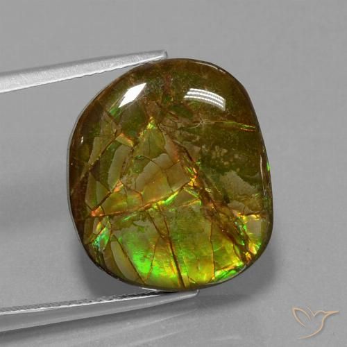 13.05ct Natural Multicolorido amolita, Chique, Opaco