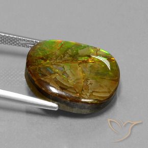 amolita Multicolorido Natural 13.05ct, Chique, Opaco