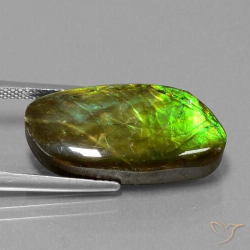 11.74ct Natural Multicolorido amolita, Chique, Opaco