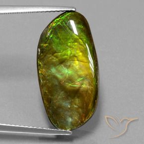 amolita Multicolorido Natural 11.74ct, Chique, Opaco
