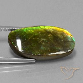 amolita Multicolorido Natural 11.74ct, Chique, Opaco