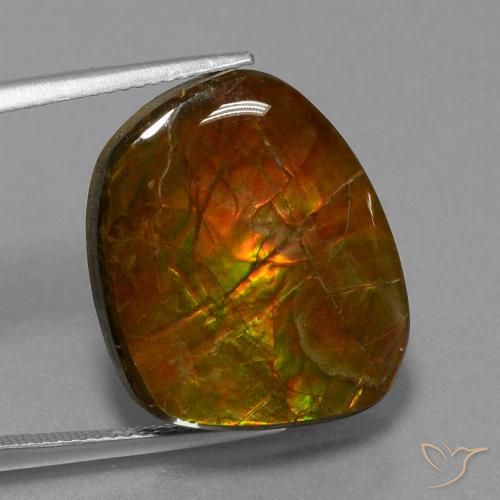 16.13ct Natural Multicolorido amolita, Chique, Opaco