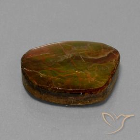 amolita Multicolorido Natural 16.13ct, Chique, Opaco