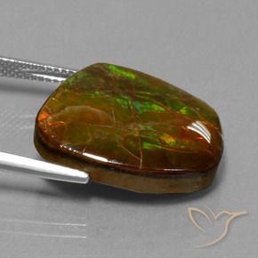 amolita Multicolorido Natural 16.13ct, Chique, Opaco