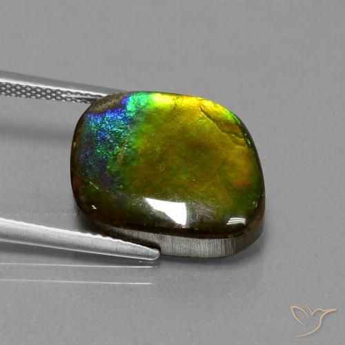 Ammolita multicolorido natural 11,27ct, forma extravagante, opaco