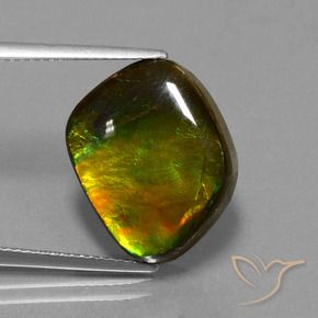 Ammolita multicolorido natural 11,27ct, forma extravagante, opaco