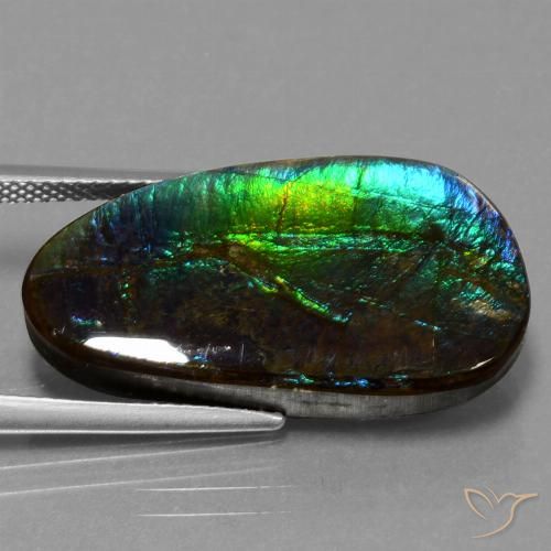 16.95ct Natural Multicolorido amolita, Chique, Opaco