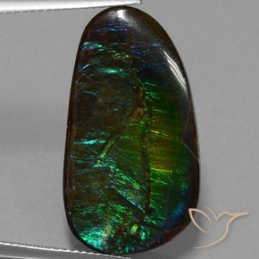 amolita Multicolorido Natural 16.95ct, Chique, Opaco