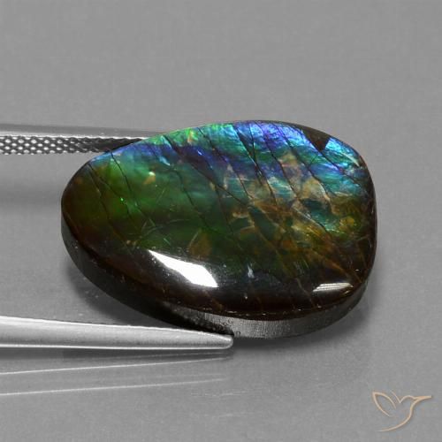 14.77ct Natural Multicolorido amolita, Chique, Opaco