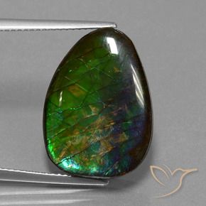 amolita Multicolorido Natural 14.77ct, Chique, Opaco