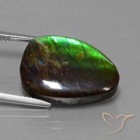 amolita Multicolorido Natural 14.77ct, Chique, Opaco