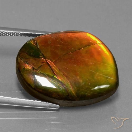15.55ct Natural Multicolorido amolita, Chique, Opaco