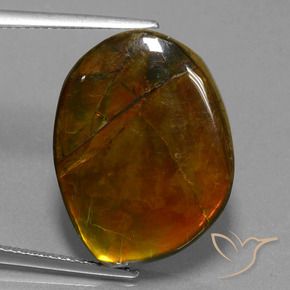 amolita Multicolorido Natural 15.55ct, Chique, Opaco
