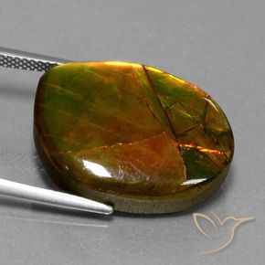 amolita Multicolorido Natural 15.55ct, Chique, Opaco