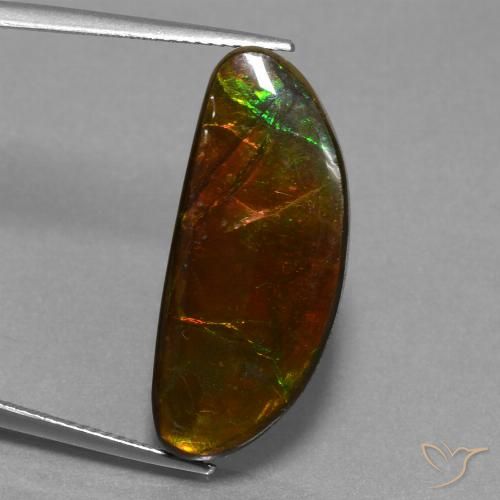 14.62ct Natural Multicolorido amolita, Chique, Opaco