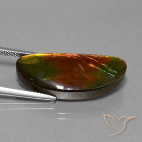 amolita Multicolorido Natural 14.62ct, Chique, Opaco