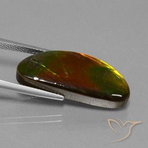 amolita Multicolorido Natural 14.62ct, Chique, Opaco