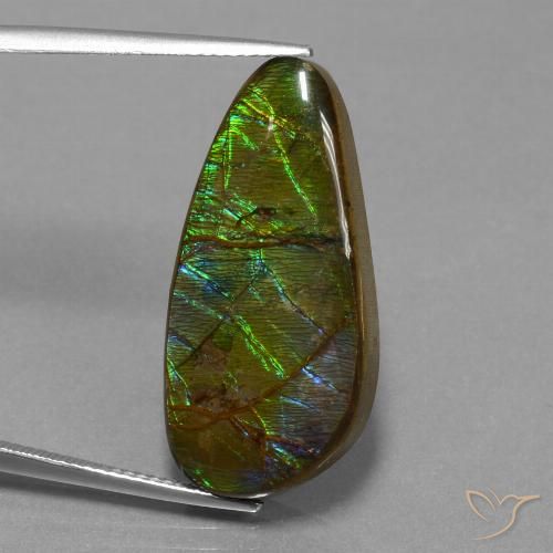 16.23ct Natural Multicolorido amolita, Chique, Opaco