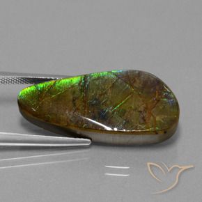 amolita Multicolorido Natural 16.23ct, Chique, Opaco