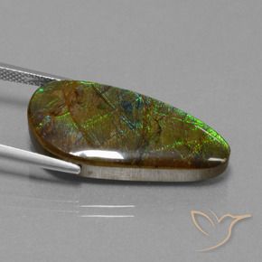 amolita Multicolorido Natural 16.23ct, Chique, Opaco