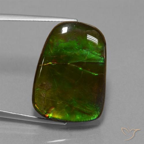 23.19ct Natural Multicolorido amolita, Chique, Opaco