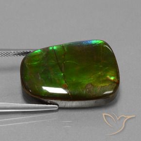 amolita Multicolorido Natural 23.19ct, Chique, Opaco