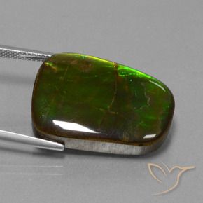 amolita Multicolorido Natural 23.19ct, Chique, Opaco