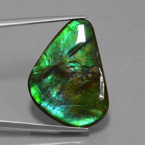 Ammolita multicolorido natural 24,56ct, trillion, opaco
