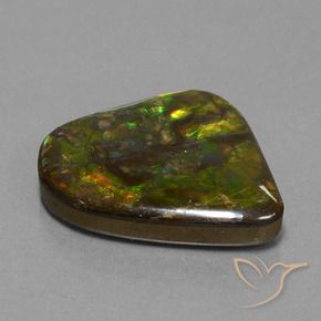 amolita Multicolorido Natural 25.17ct, Chique, Opaco
