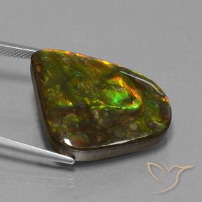 amolita Multicolorido Natural 25.17ct, Chique, Opaco