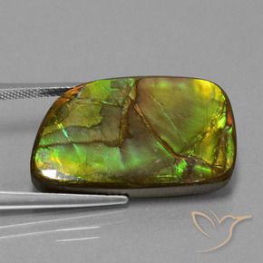 amolita Multicolorido Natural 21.06ct, Chique, Opaco