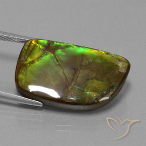 amolita Multicolorido Natural 21.06ct, Chique, Opaco