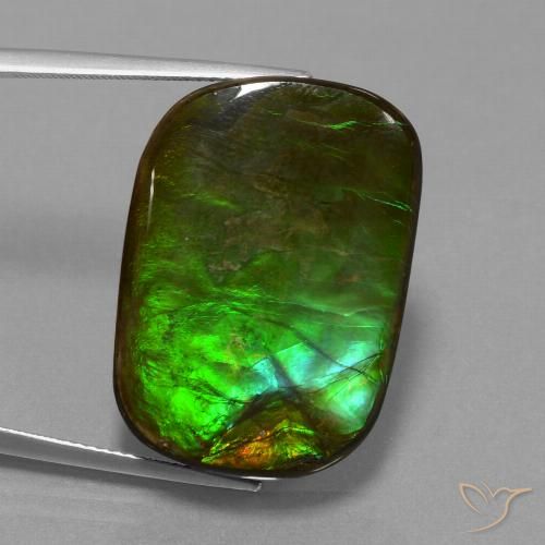 21.97ct Natural Multicolorido amolita, Almofada, Opaco