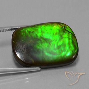 amolita Multicolorido Natural 21.97ct, Almofada, Opaco