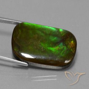 amolita Multicolorido Natural 21.97ct, Almofada, Opaco