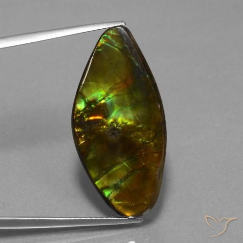 19.04ct Natural Multicolorido amolita, Chique, Opaco