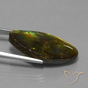 amolita Multicolorido Natural 19.04ct, Chique, Opaco