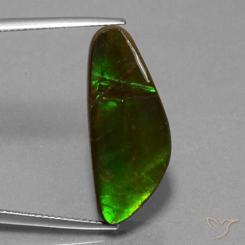 10.78ct Natural Multicolorido amolita, Chique, Opaco