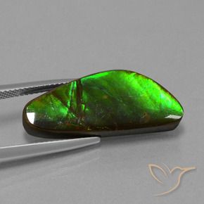 amolita Multicolorido Natural 10.78ct, Chique, Opaco