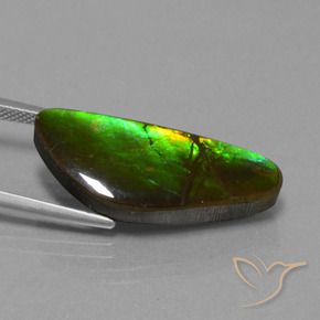 amolita Multicolorido Natural 10.78ct, Chique, Opaco