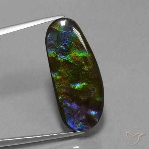 16.37ct Natural Multicolorido amolita, Chique, Opaco