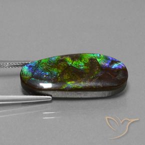 amolita Multicolorido Natural 16.37ct, Chique, Opaco