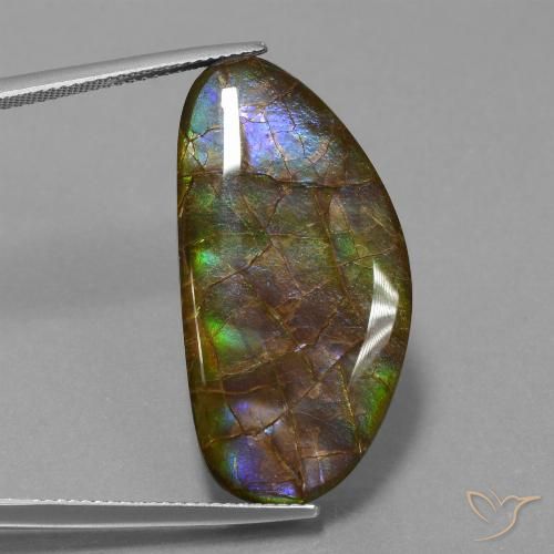 26.24ct Natural Multicolorido amolita, Chique, Opaco