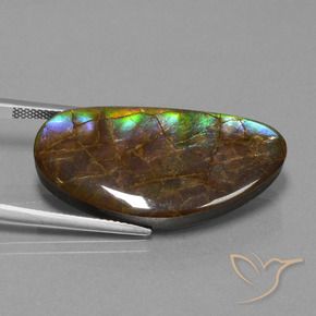 amolita Multicolorido Natural 26.24ct, Chique, Opaco